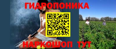 PSILOCYBIN Чебоксары